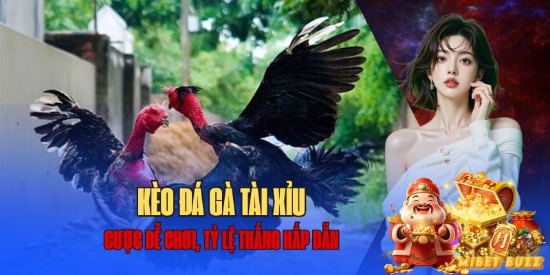 Hướng dẫn chơi kèo đá gà tài xỉu