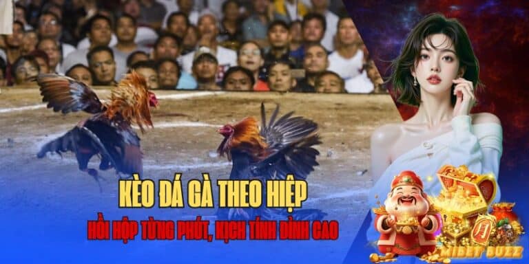 đá gà theo hiệp - hướng dẫn cách bắt kèo thông minh